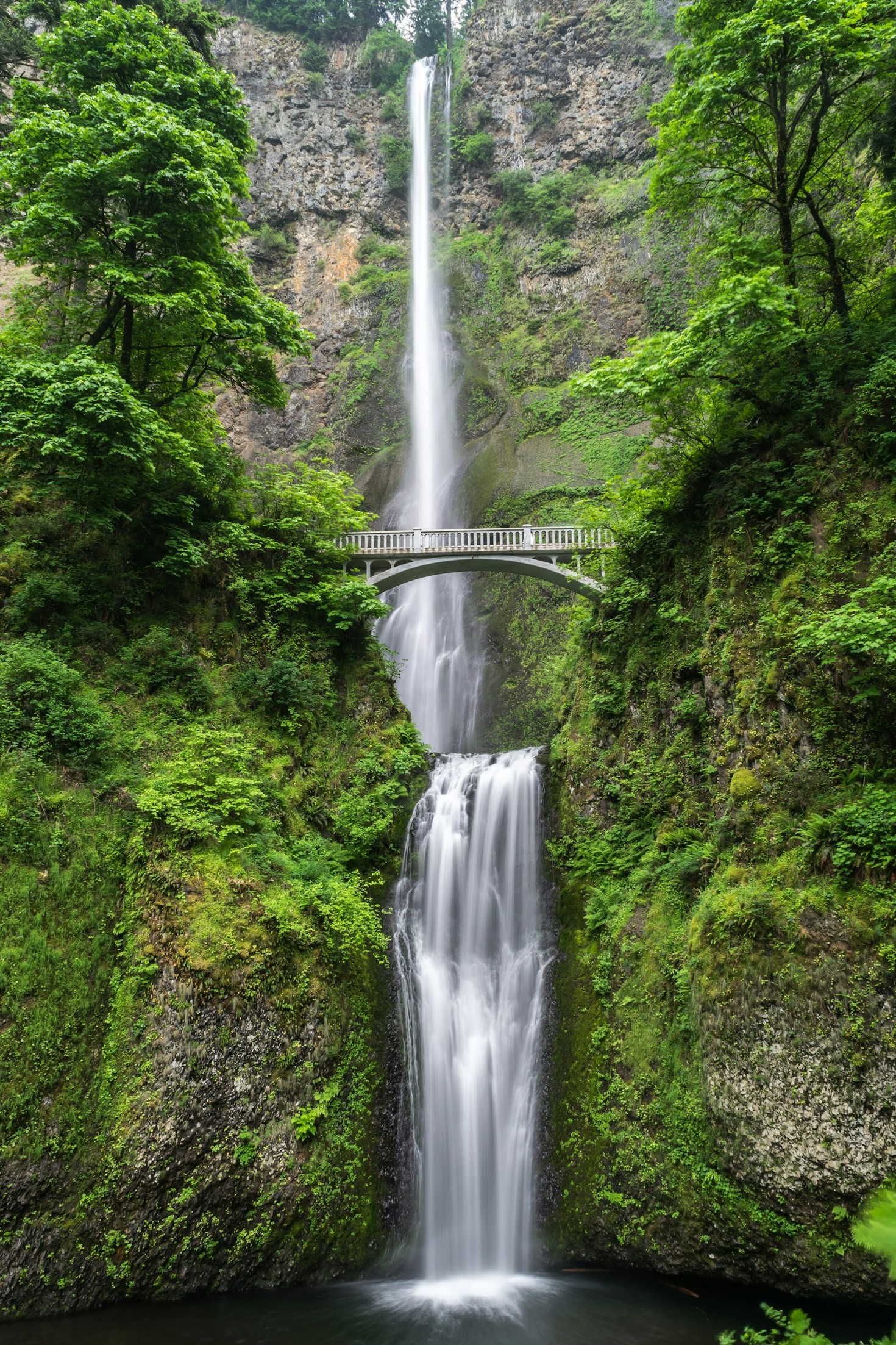 The Ultimate Guide to Finding Scenic Walking Routes
