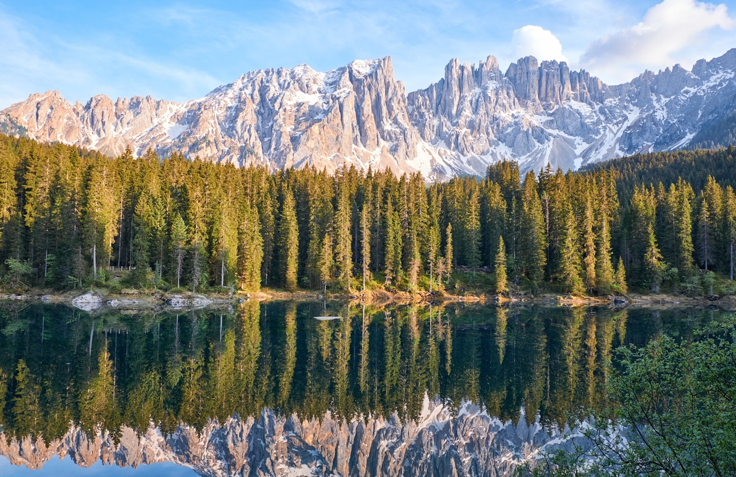Essential Hiking Gear for Beginners and Pros
